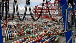 Container im Hamburger Hafen. © picture alliance/dpa Foto: Axel Heimken