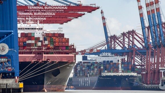 Containerschiffe werden am Terminal Burchardkai (l.) und bei Eurogate (r.) im Hamburger Hafen entladen. © picture alliance / dpa Foto: Axel Heimken