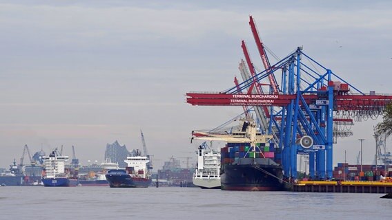 Containerschiffe werden am Terminal Burchardkai in Waltershof im Hamburger Hafen abgefertigt. © picture alliance/dpa Foto: Marcus Brandt