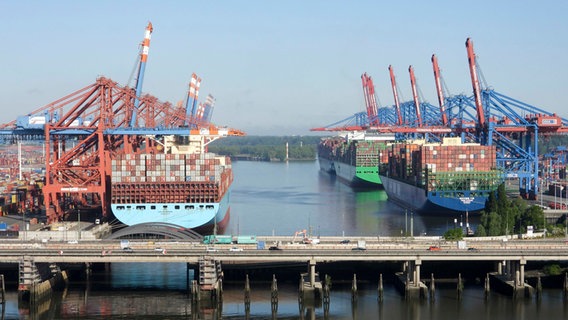 Frachter an den Containerterminals von Eurogate und HHLA am Burchardtkai im Hamburger Hafen. © picture alliance / dpa 