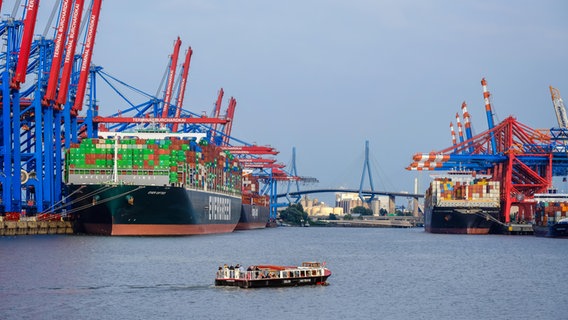 Containerschiffe liegen am Burchardkai im Hamburger Hafen © picture alliance Foto: Rupert Oberhäuser