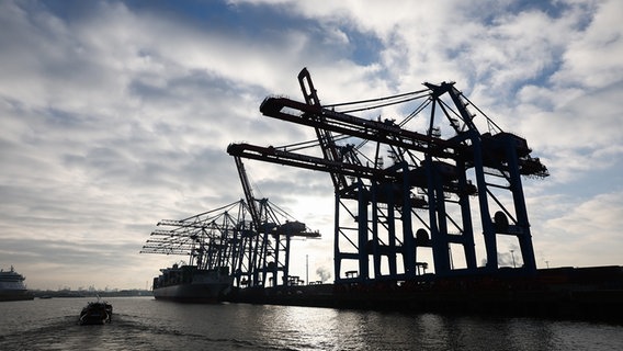 Ein Containerschiff liegt am Terminal Tollerort im Hamburger Hafen. © picture alliance/dpa Foto: Christian Charisius