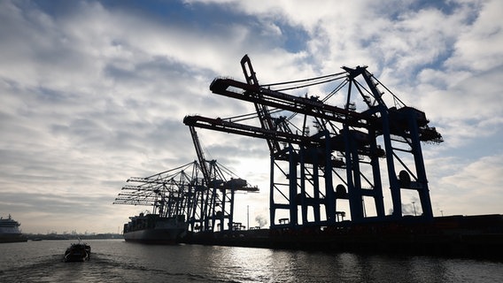 Ein Containerschiff liegt am Terminal Tollerort im Hamburger Hafen. © picture alliance/dpa Foto: Christian Charisius