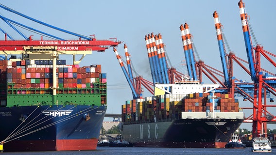 Containerschiffe liegen an einem Containerterminal im Hamburger Hafen. © picture alliance / dpa Foto: Marcus Brandt