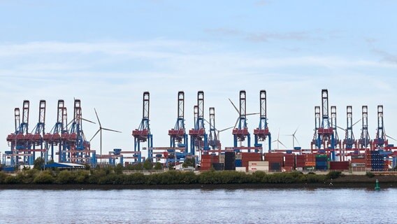 Kräne im Hamburger Hafen. © picture alliance/dpa Foto: Georg Wendt