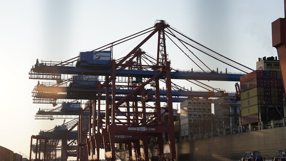 Ein Containerschiff wird am Eurogate Container Terminal im Hafen be- und entladen. (Archivbild) © picture alliance/dpa | Marcus Brandt Foto: Marcus Brandt