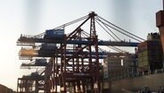 Ein Containerschiff wird am Eurogate Container Terminal im Hafen be- und entladen. (Archivbild) © picture alliance/dpa | Marcus Brandt Foto: Marcus Brandt