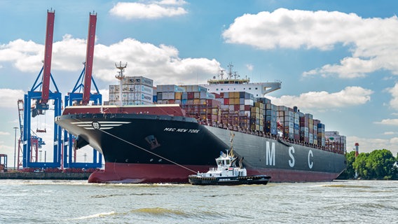 Ein Containerschiff der Reederei MSC läuft das HHLA-Terminal Tollerort im Hamburger Hafen an. © IMAGO / Pond5 Images 