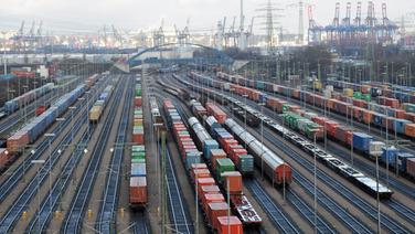 Bahn-Waggons mit Containern stehen in Hamburg im Bahnhof Alte Süderelbe auf den Gleisen. Bahn-Waggons mit Containern stehen in Hamburg im Bahnhof Alte Süderelbe auf den Gleisen. © picture alliance / dpa Foto: Angelika Warmuth