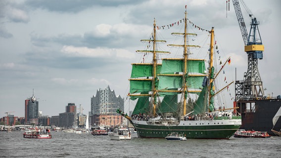 Schiffe bei der Einlaufparade des Hafengeburtstags 2024. © IMAGO / Horrmann Kislichko GbR Foto: Horrmann Kislichko