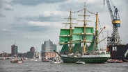 Schiffe bei der Einlaufparade des Hafengeburtstags 2024. © IMAGO / Horrmann Kislichko GbR Foto: Horrmann Kislichko