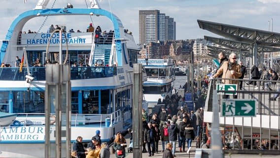 Hafenrundfahrtsschiffe liegen bereit zur Abfahrt an den Landungsbrücken. © picture alliance/dpa | Markus Scholz Foto: Markus Scholz