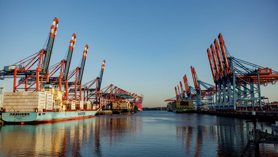 Containerschiffe liegen am Morgen des Warnstreiks zur Abfertigung an den Terminals im Hamburger Hafen. © picture alliance/dpa Foto: Axel Heimken