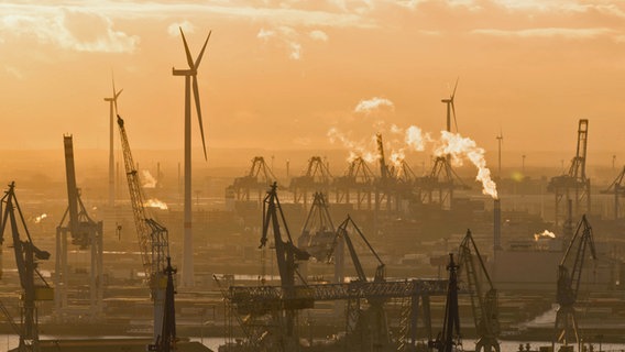 Kräne und Industriebetriebe im Hamburger Hafen. © picture alliance / xim.gs 