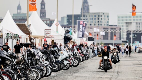 Motorräder zu den Harley days in der Hamburger Innenstadt. © picture alliance/dpa Foto: Axel Heimken
