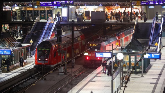 Nahverkehrszüge stehen im Hamburger Hauptbahnhof. © dpa Foto: Bodo Marks