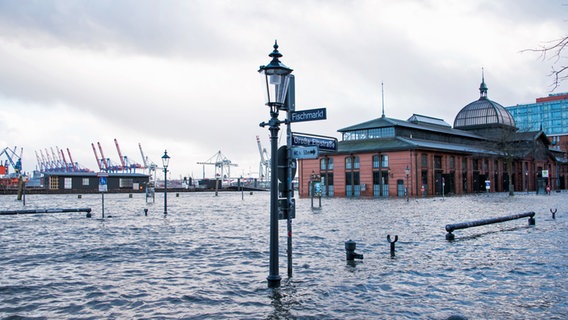 Der Fischmarkt mit der Fischauktionshalle steht während einer Sturmflut in Hamburg unter Wasser. © picture alliance/dpa Foto: Daniel Bockwoldt