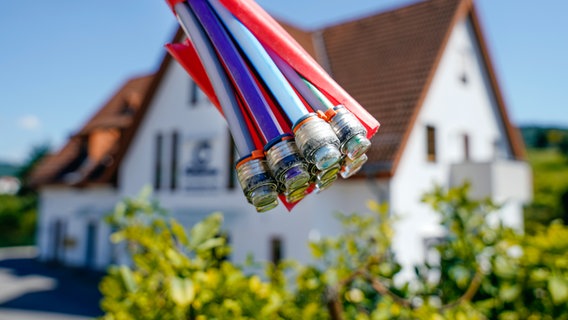Ein Bündel Glasfaserkabel vor einem Haus. © picture alliance / dpa Foto: Uwe Anspach