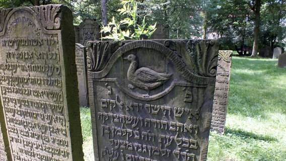 Auf einem Grabstein des Jüdischen Friedhofs Altona ist eine Gans zu sehen © NDR.de Foto: Marc-Oliver Rehrmann