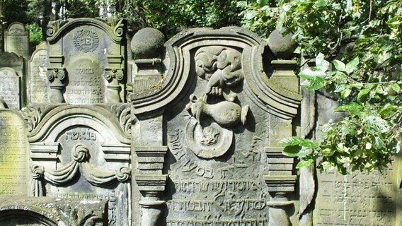 Ein Grabstein mit einer Levitenkanne auf dem Jüdischen Friedhof Altona © NDR.de Foto: Marc-Oliver Rehrmann