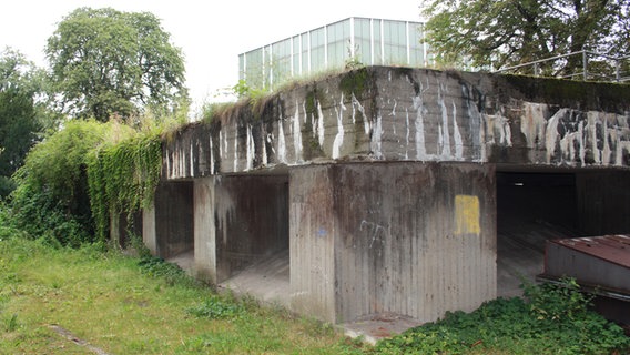 Der Kaufmann-Bunker hinter dem Budge-Palais in Hamburg © NDR.de Foto: Marc-Oliver Rehrmann