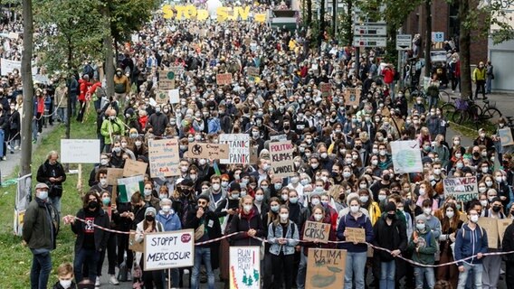 Tausende Demonstranten haben sich in Hamburg zum Klimastreik von "Fridadys For Future" versammelt. © dpa Foto: Markus Scholz