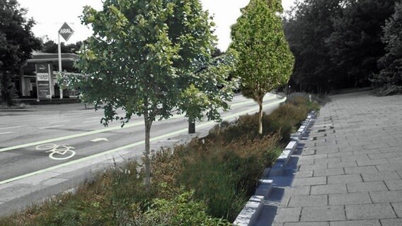 Eine Visualisierung zeigt die Pläne für die Hamburger Königstraße. © Behörde für Verkehr und Mobilitätswende 