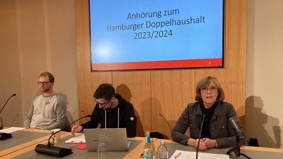 Mitglieder der Hamburger Linken bei einer Anhörung von Sozialverbänden zum Hamburger Doppelhaushalt. © NDR Foto: Reinhard Postelt