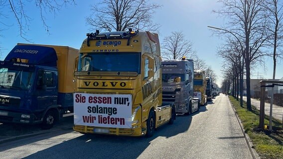 Mehrere LKW stehen in Hamburg hintereinander. © NDR Foto: Kai Salander