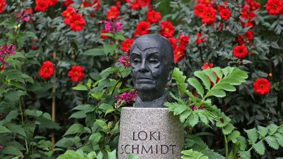 Büste von Loki Schmidt im Botanischen Garten in Hamburg. © Picture Alliance/dpa Foto: Christian Charisius