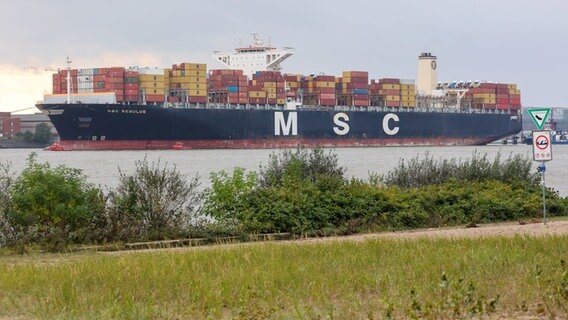 Das Containerschiff «MSC Regulus» liegt auf der Elbe in Höhe von Finkenwerder. © picture alliance/dpa Foto: Bodo Marks