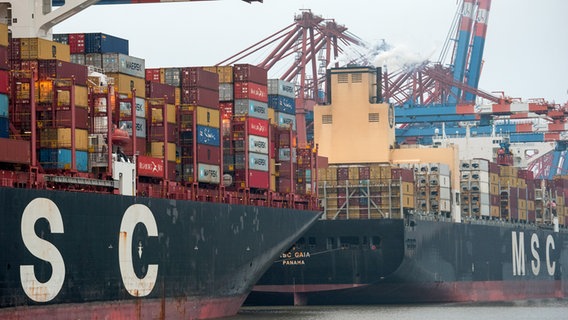 Containerschiffe der Reederei MSC liegen im Hamburger Hafen. © picture alliance / dpa Foto: Daniel Bockwoldt