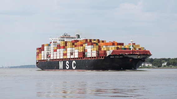 Das Containerschiff "MSC Palak" fährt auf der Elbe Richtung Hamburger Hafen. © picture alliance/dpa Foto: Christian Charisius
