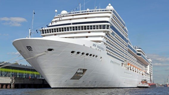 Das Kreuzfahrtschiff "MSC Magnifica" im Hamburger Hafen. © picture alliance / imageBROKER Foto: Siegfried Kuttig