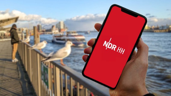 Eine Person an den Hamburger Landungsbrücken hält ein Smartphone, auf dem die NDR Hamburg App läuft, in der Hand. © NDR 
