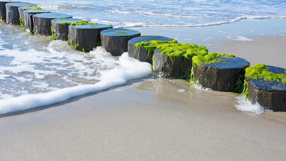 Wasser, Sand und kleine brechende Wellen an der Nordsee. © picture alliance / Zoonar | DesignIt 