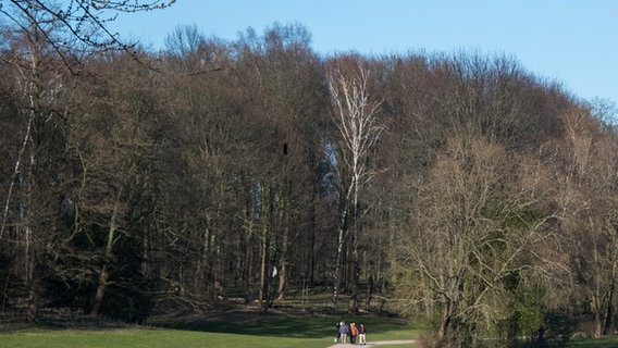 Besucher sind bei Sonnenschein im Öjendorfer Park unterwegs. © picture alliance/dpa | Daniel Bockwoldt Foto: Daniel Bockwoldt