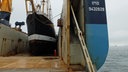 Das Museumsschiff "Peking" ist in New York im Dockschiff und reiseklar für die Atlantik-Passage nach Hamburg. © NDR Fotograf: Ulrich Patzwahl