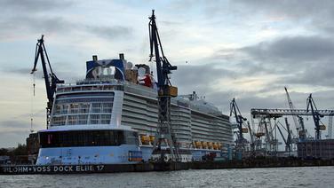 Die "Quantum of the Seas" in Hamburg. Die "Quantum of the Seas" in Hamburg. © NDR Fotograf: Judith Pape