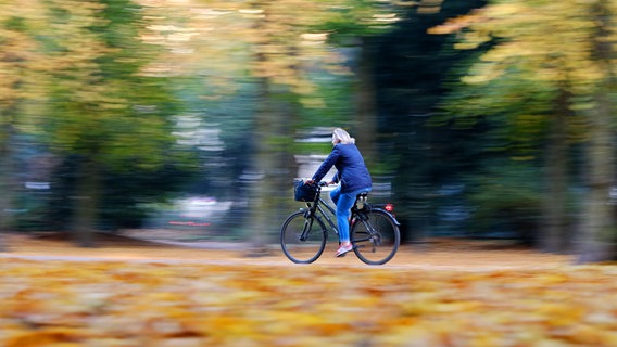 Eine Fahrradfahrerin fährt auf einem Radweg im Herbst. © picture alliance / dpa Foto: Kevin Kurek