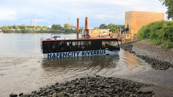Der Hafencity Riverbus steht festgefahren am Anleger in Entenwerder. © Mathias Pryba Foto: Mathias Pryba