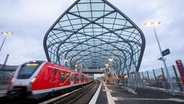 Ein Zug der S-Bahn Hamburg fährt durch die Station Elbbrücken in der Hafencity während letzte Arbeiten vor der Eröffnung erledigt werden. © picture alliance/dpa Foto: Christian Charisius