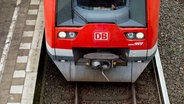 Eine S-Bahn in Hamburg. © picture alliance / dpa Foto: Daniel Reinhardt