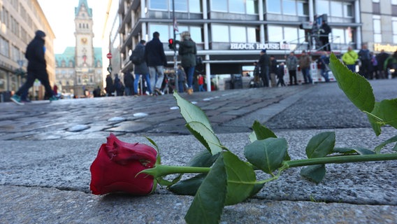Eine Rose liegt in der Hamburger Innenstadt auf dem Pflaster © NDR.de Foto: Kristina Festring-Hashem Zadeh