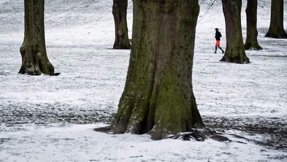 Ein Mann joggt durch den leicht verschneiten Schanzenpark. © picture alliance / dpa Foto: Christian Charisius