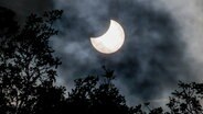 Eine partielle Sonnenfinsternis zeigt sich über dem Hamburger Stadtpark. © picture alliance/dpa Foto: Axel Heimken