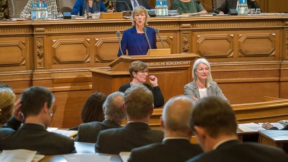 Stadtentwicklungssenatorin Dorothee Stapelfeldt spricht in der Hamburgischen Bürgerschaft. Stadtentwicklungssenatorin Dorothee Stapelfeldt spricht in der Hamburgischen Bürgerschaft. © dpa Foto: Lukas Schulze