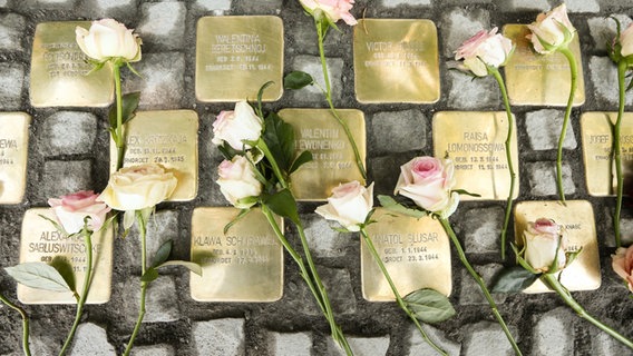 49 freshly laid in June 2018 "stumbling blocks" with roses on it in the Langenhorn district of Hamburg.  © dpa/picture alliance Photo: Ulrich Perrey