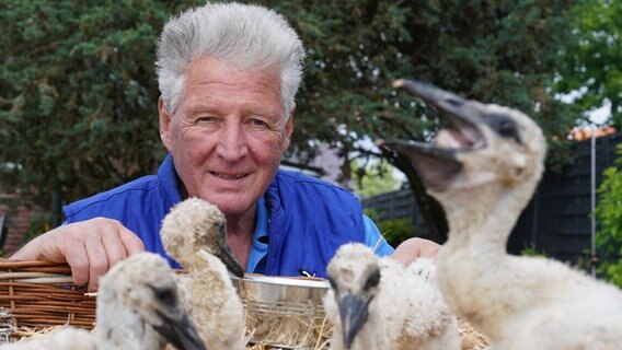 Jürgen Pelch, Storchenvater des Nabu Hamburg hinter einem Nest mit Storchenküken in seinem Garten. Jürgen Pelch, Storchenvater des Nabu Hamburg hinter einem Nest mit Storchenküken in seinem Garten. © Marcus Brandt/dpa