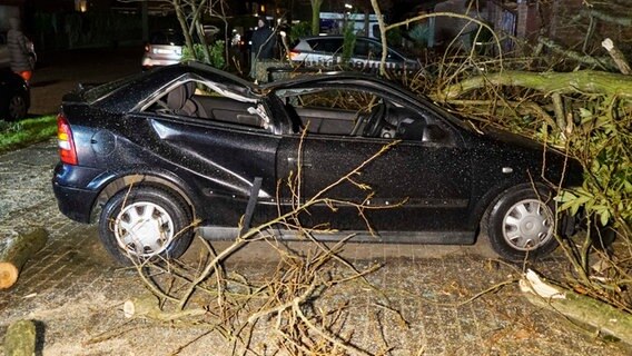 In Hamburg-Hausbruch ist bei einem Sturm ein Baum auf ein Auto gefallen.  